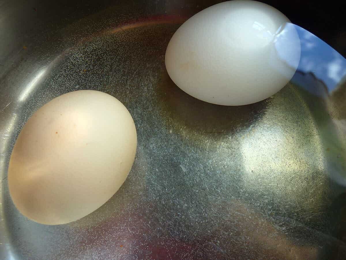 Почему вареное яйцо всплыло в воде. Испорченное вареное яйцо. Яйцо в воде. Варёное яйцо в воде. Два вареных яйца.